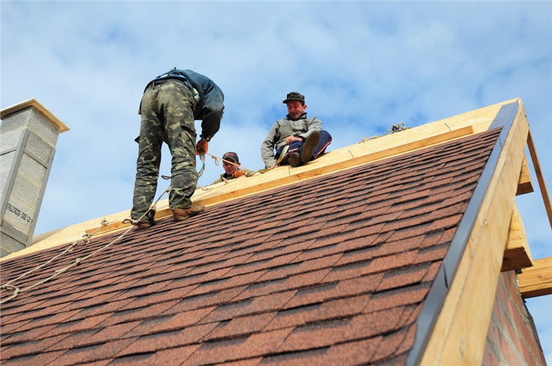 Roofing & Decking